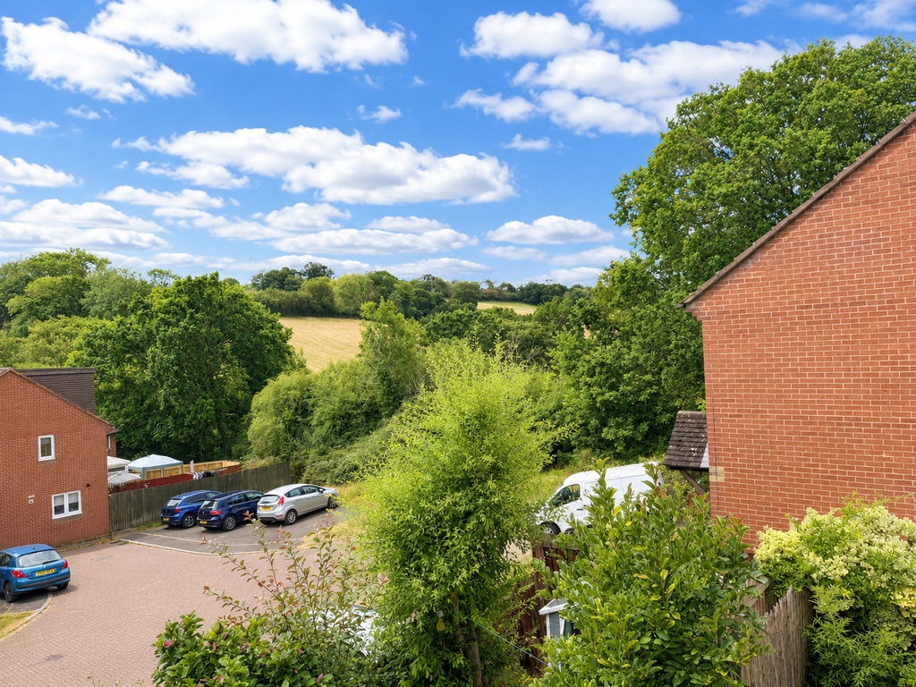 Cornflower Hill, Exeter, photo 9