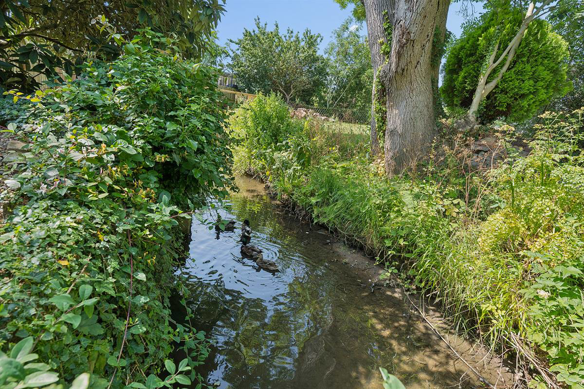 Photo 26
