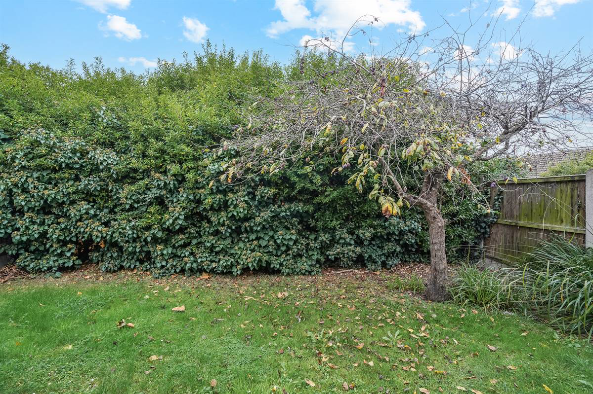 Albany Drive, Herne Bay, photo 12