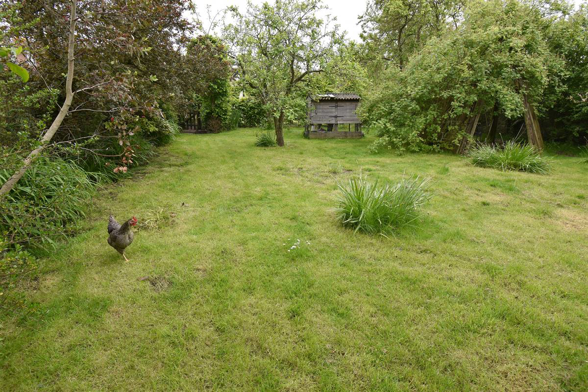 Photo 22