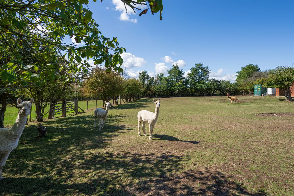 Hoath Road, Hoath, Canterbury, photo 36