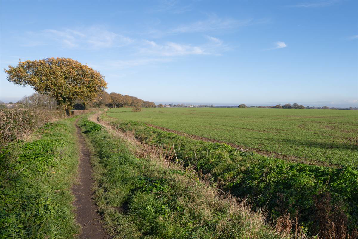Ridgeway Road, Herne Bay, photo 29