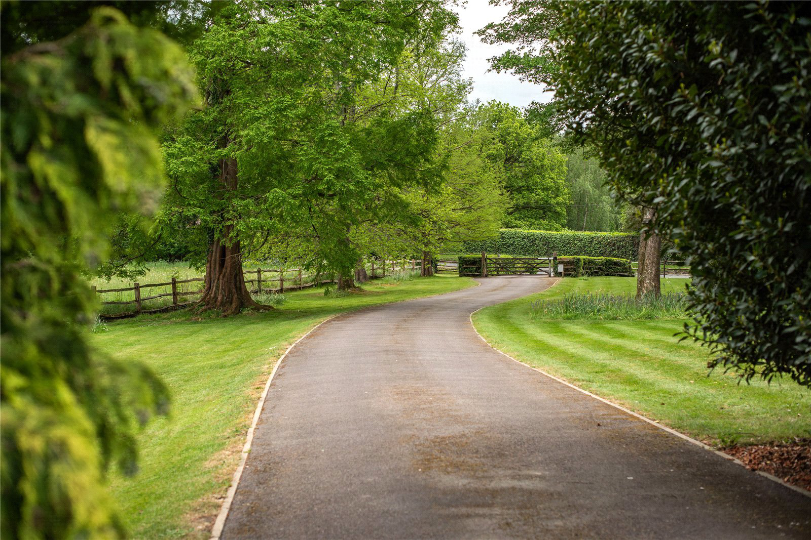 Red Lane, Dorking, Surrey, RH5, photo 23