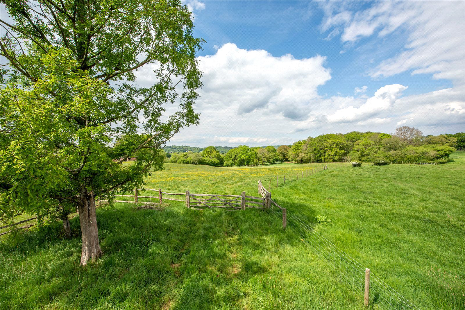 Red Lane, Dorking, Surrey, RH5, photo 6