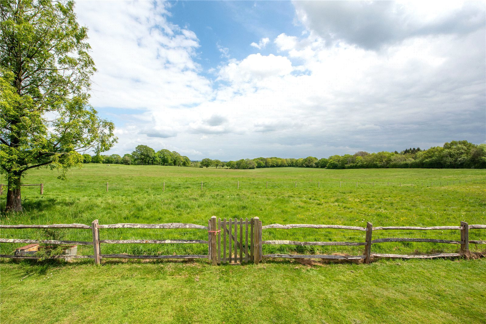 Red Lane, Dorking, Surrey, RH5, photo 11
