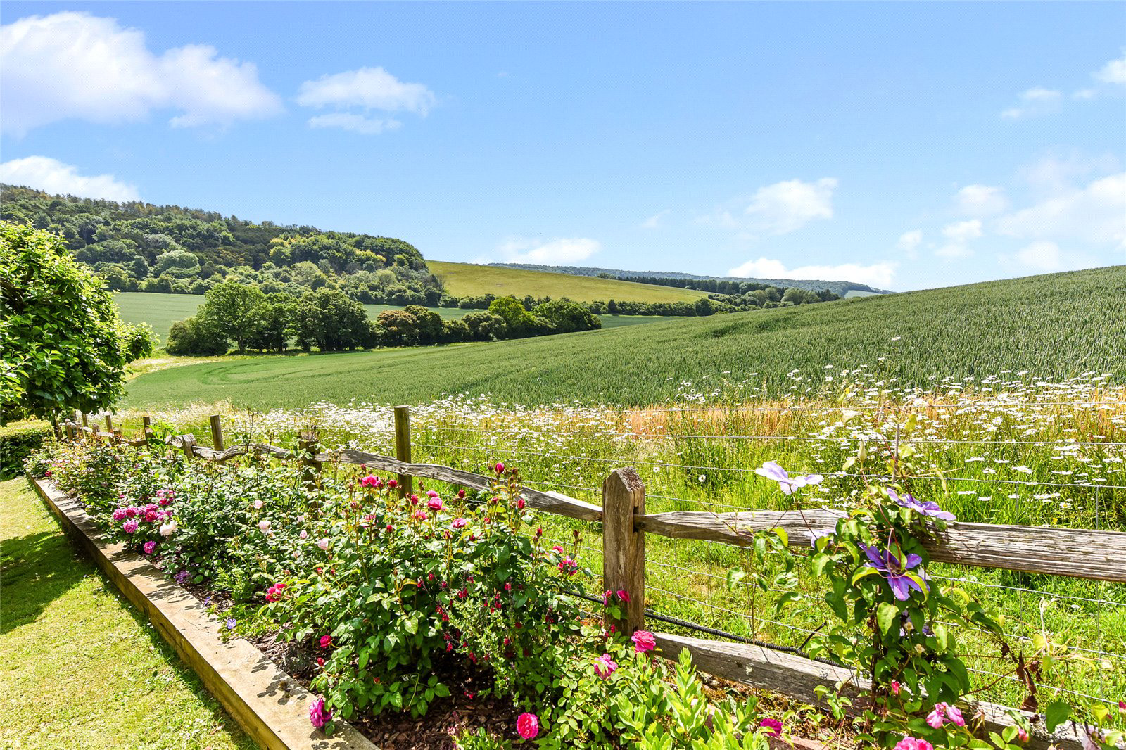 Stoughton, Chichester, West Sussex, PO18, photo 18