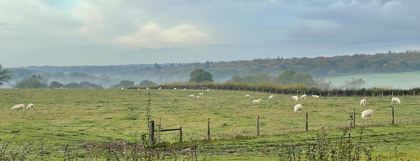Chapel Road, Fingringhoe, Colchester, Essex, CO5, photo 41