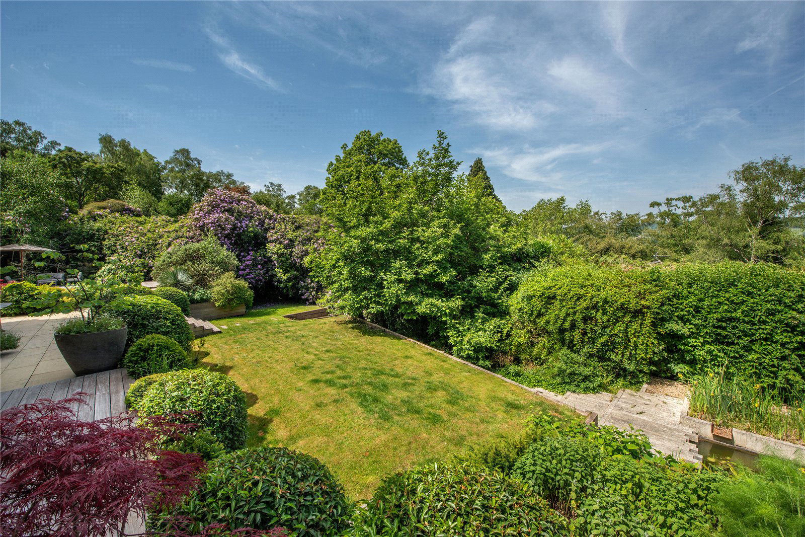 Deepdene Wood, Dorking, Surrey, RH5, photo 3
