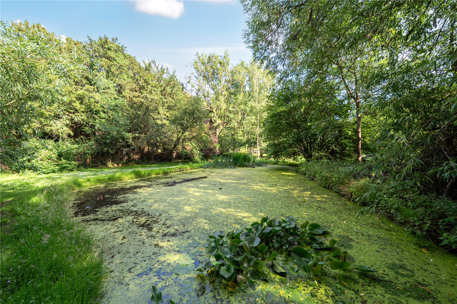 White Lane, Ash Green, Guildford, GU12, photo 23