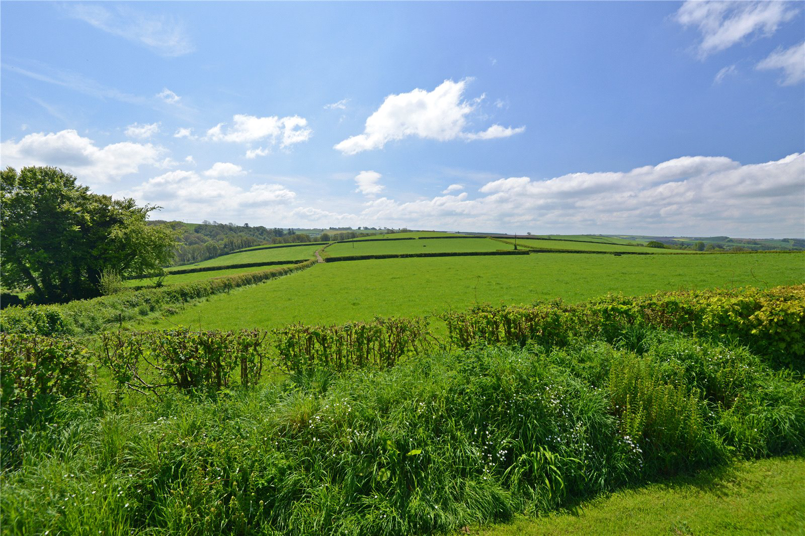 Kingscott, Torrington, Devon, EX38, photo 17