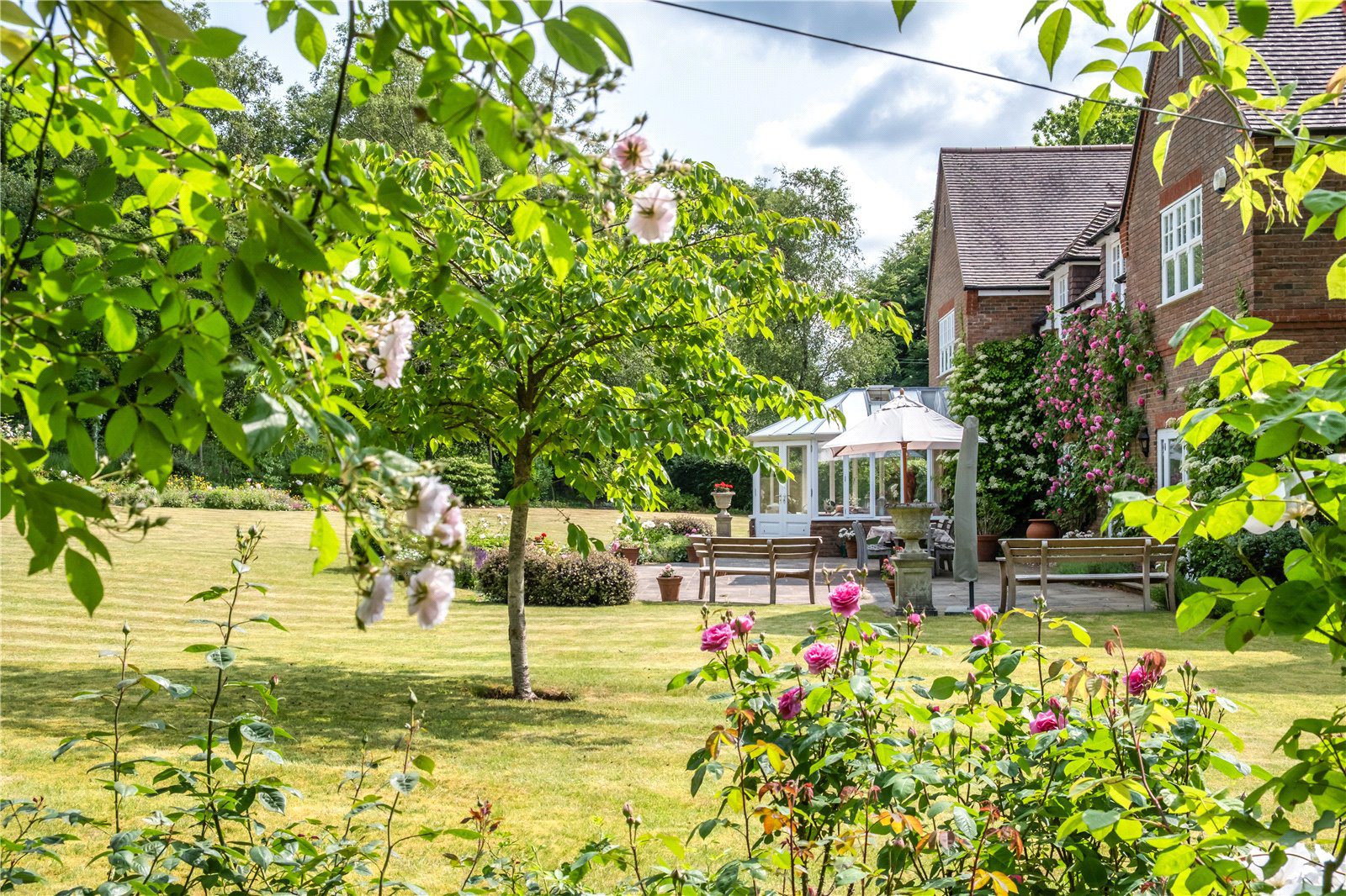 Kings Drive, Midhurst, West Sussex, GU29, photo 16