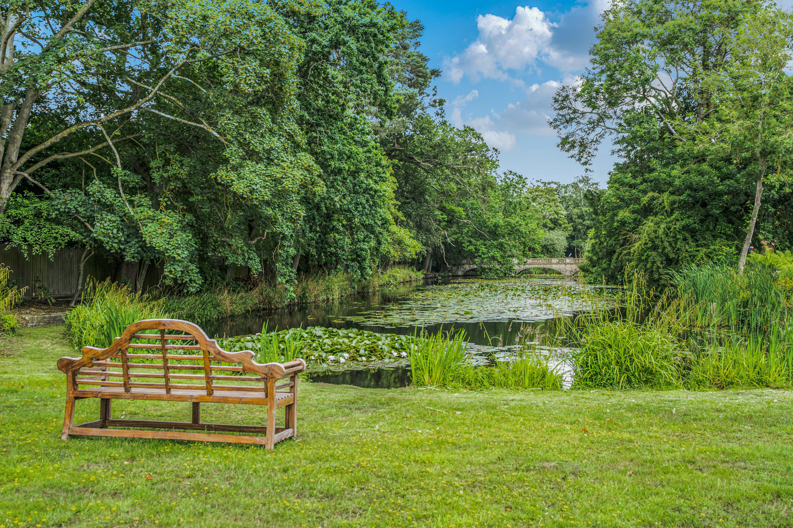 Rackheath Park, Rackheath, Norwich, Norfolk, NR13, photo 15