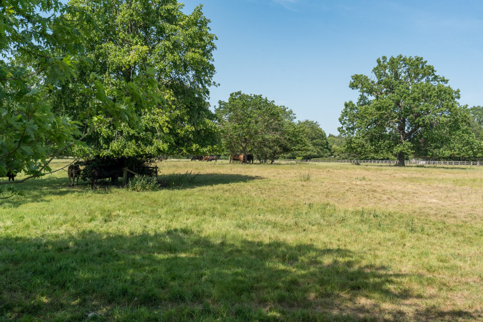 Lambs Corner, Birchwood Road, Dedham, Essex, CO7, photo 41