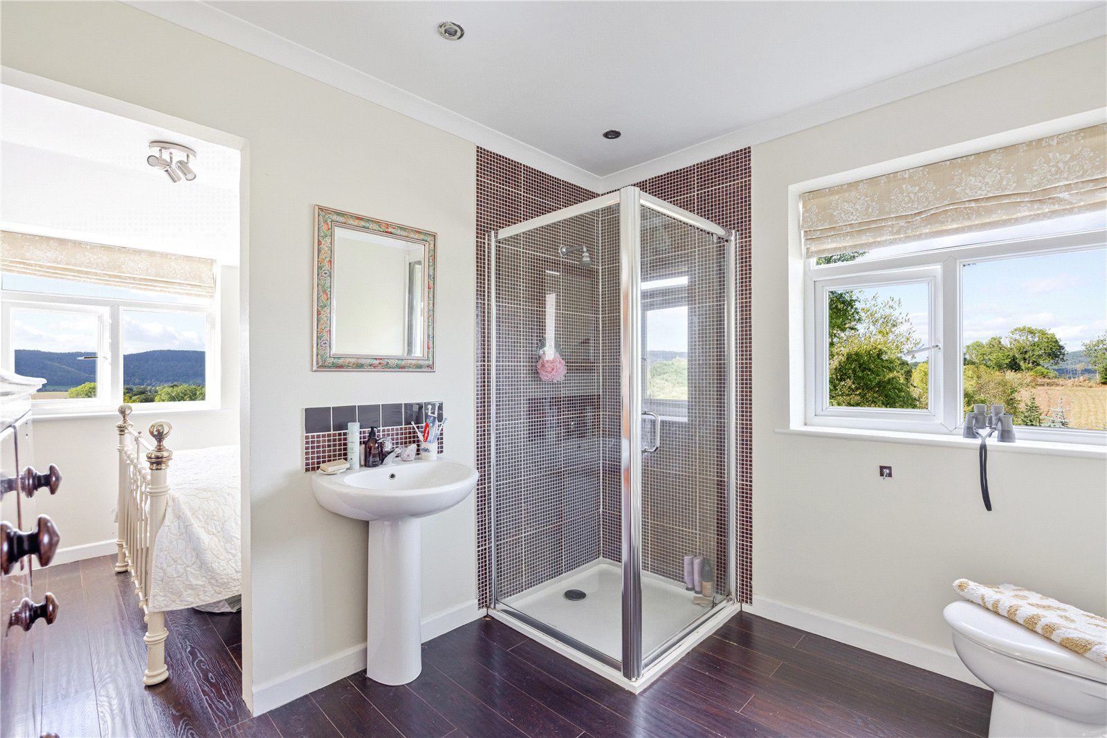 Chudleigh, Newton Abbot, Devon, TQ13, photo 11