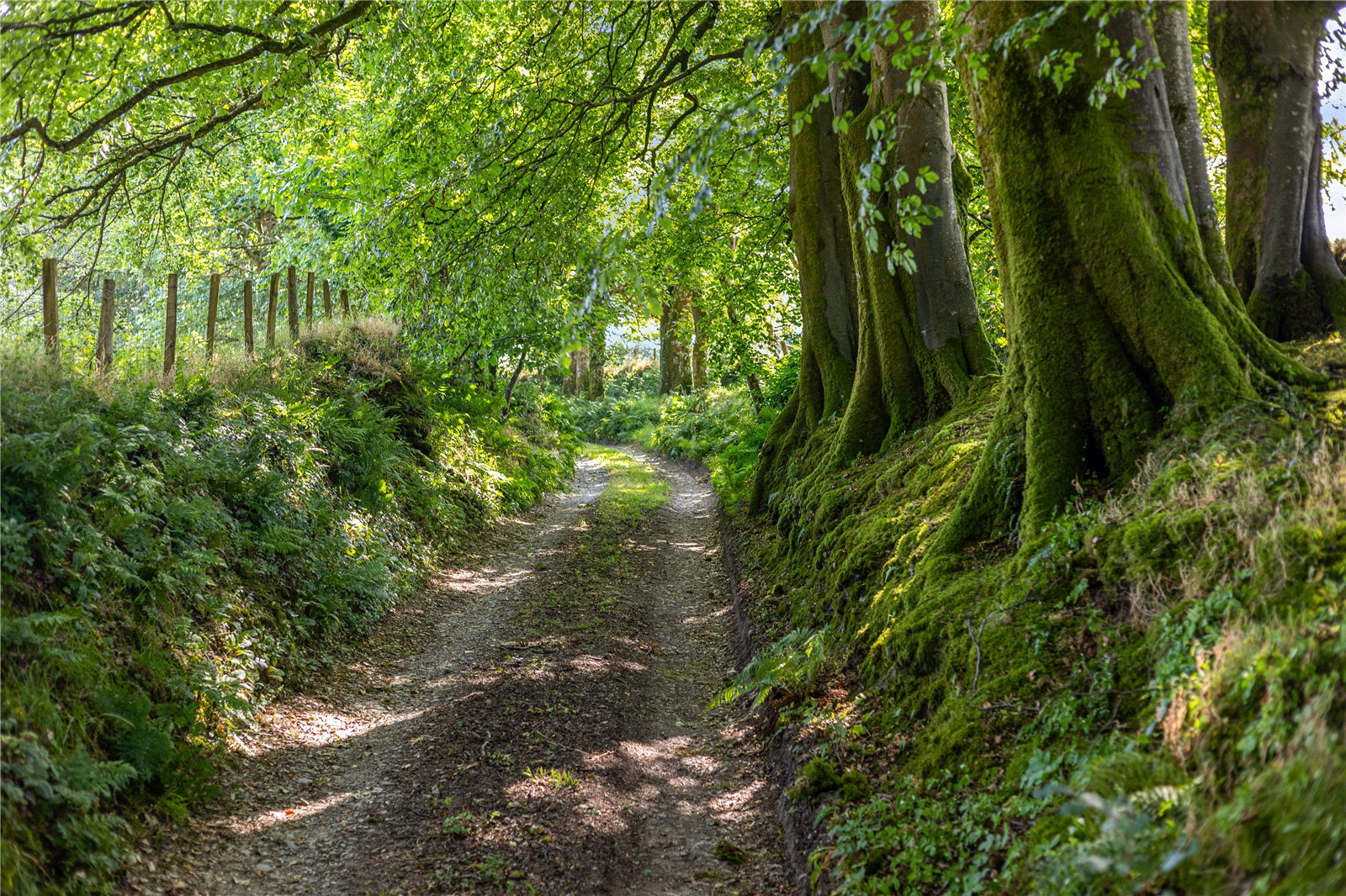 Exmoor National Park, Lynton, Devon, EX35, photo 4