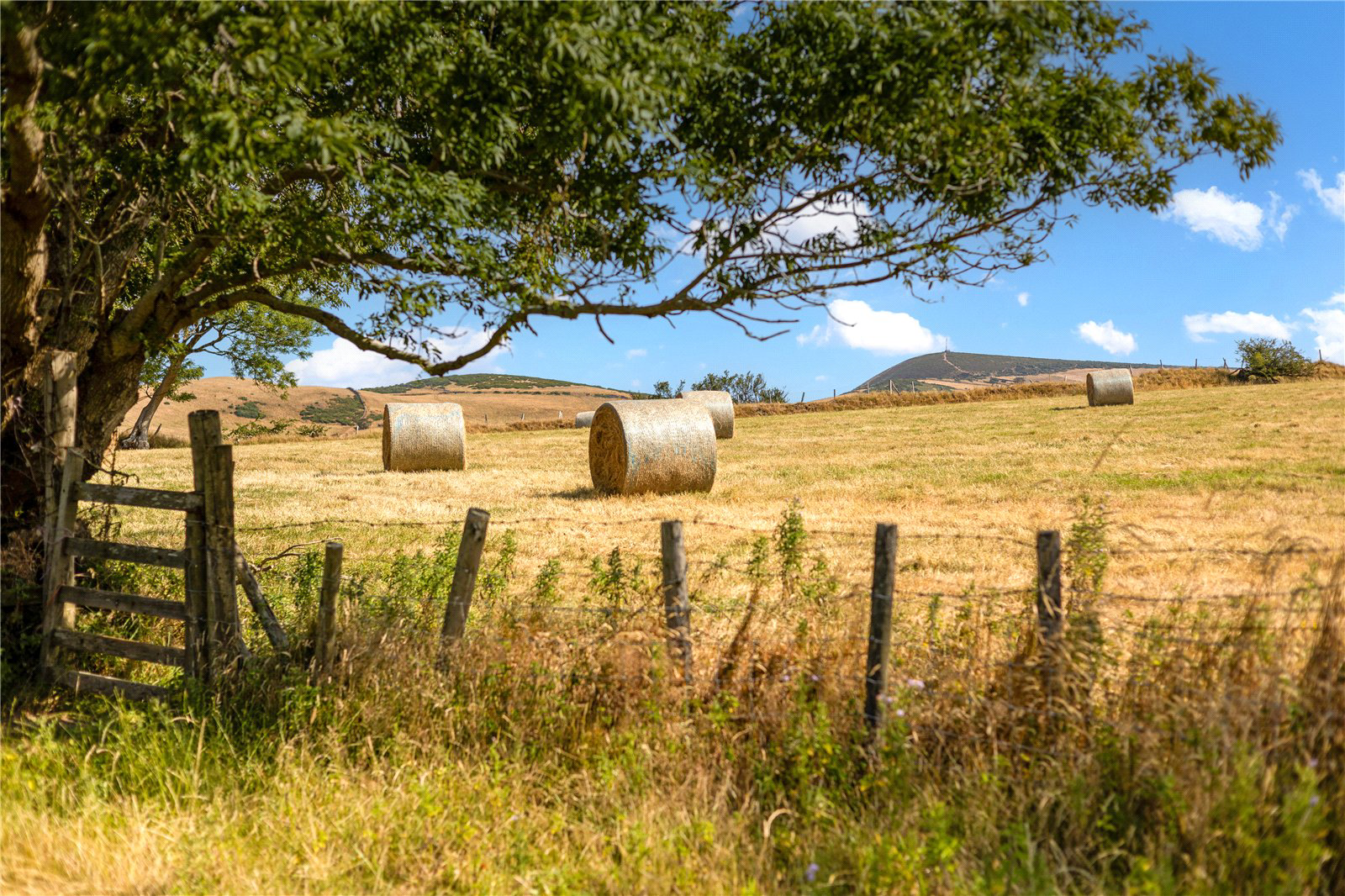 Exmoor National Park, Lynton, Devon, EX35, photo 18
