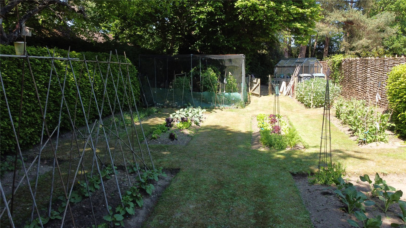 Photo 26