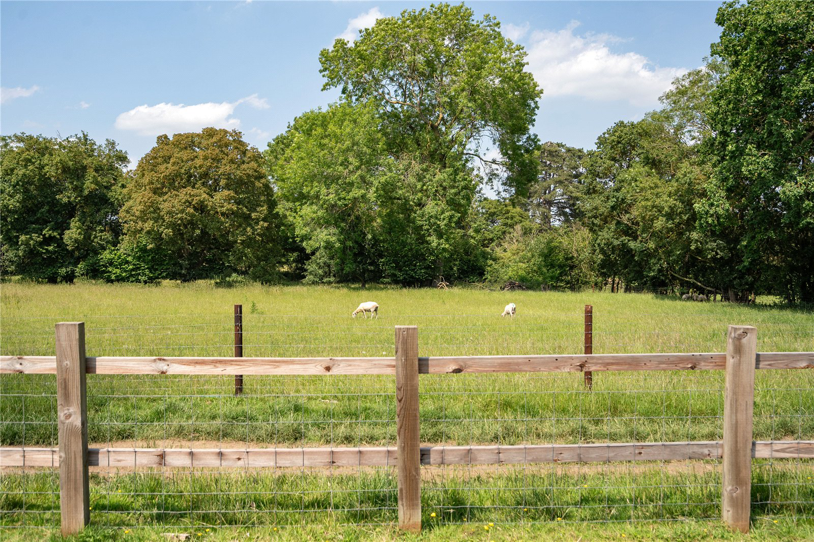 Purple Hill, Buxhall, Stowmarket, Suffolk, IP14, photo 25
