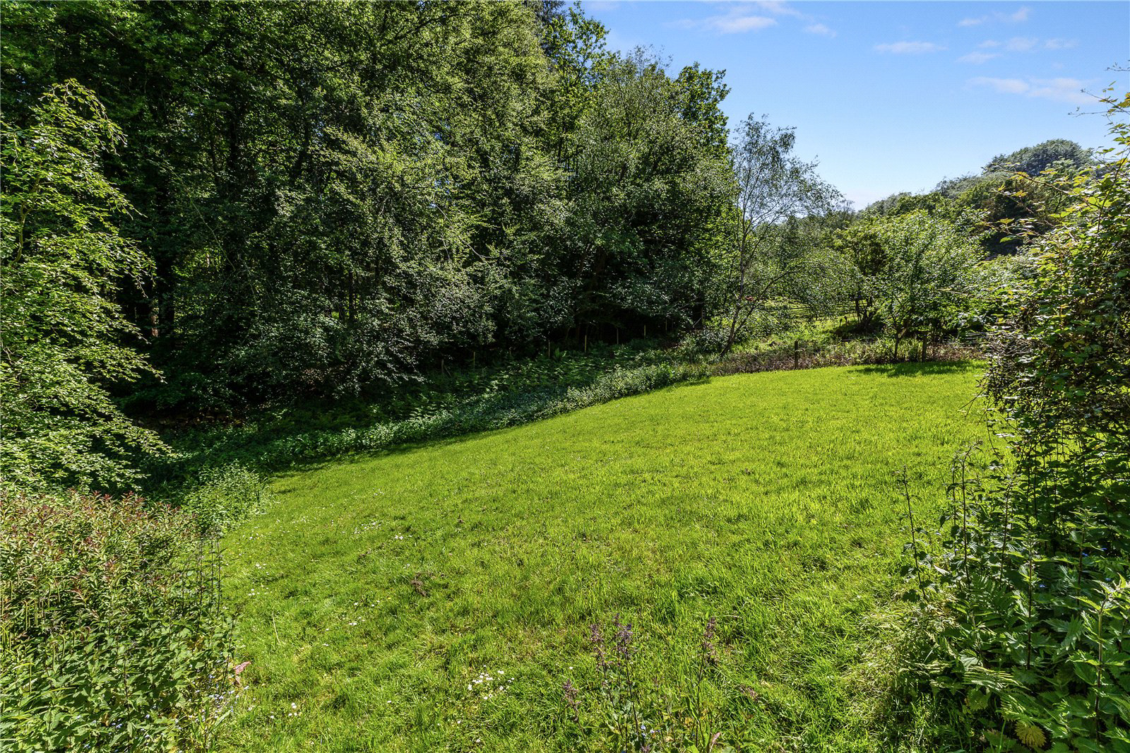 Henley, Haslemere, West Sussex, GU27, photo 3