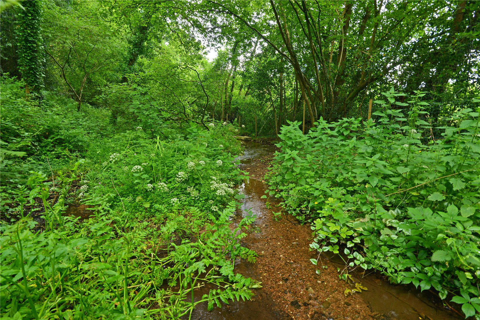 Kenn, Exeter, Devon, EX6, photo 16