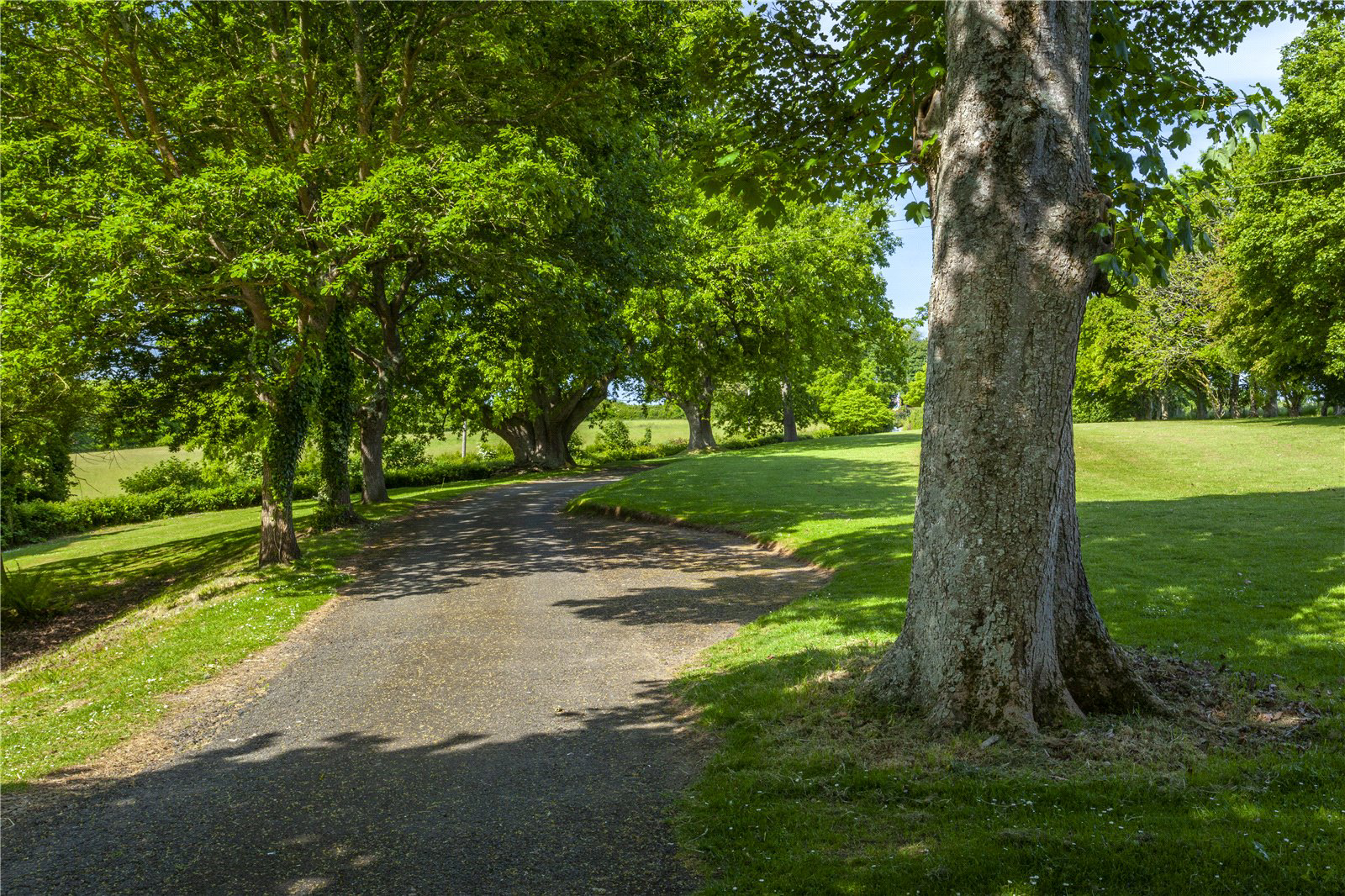 Westleigh, Bideford, Devon, EX39, photo 3