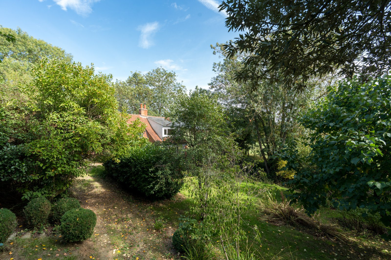 Bourne Road, West Bergholt, Colchester, Essex, CO6, photo 36