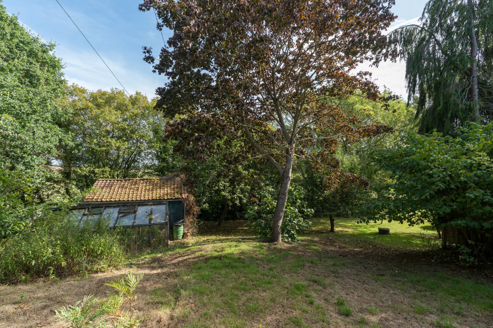 Bourne Road, West Bergholt, Colchester, Essex, CO6, photo 33