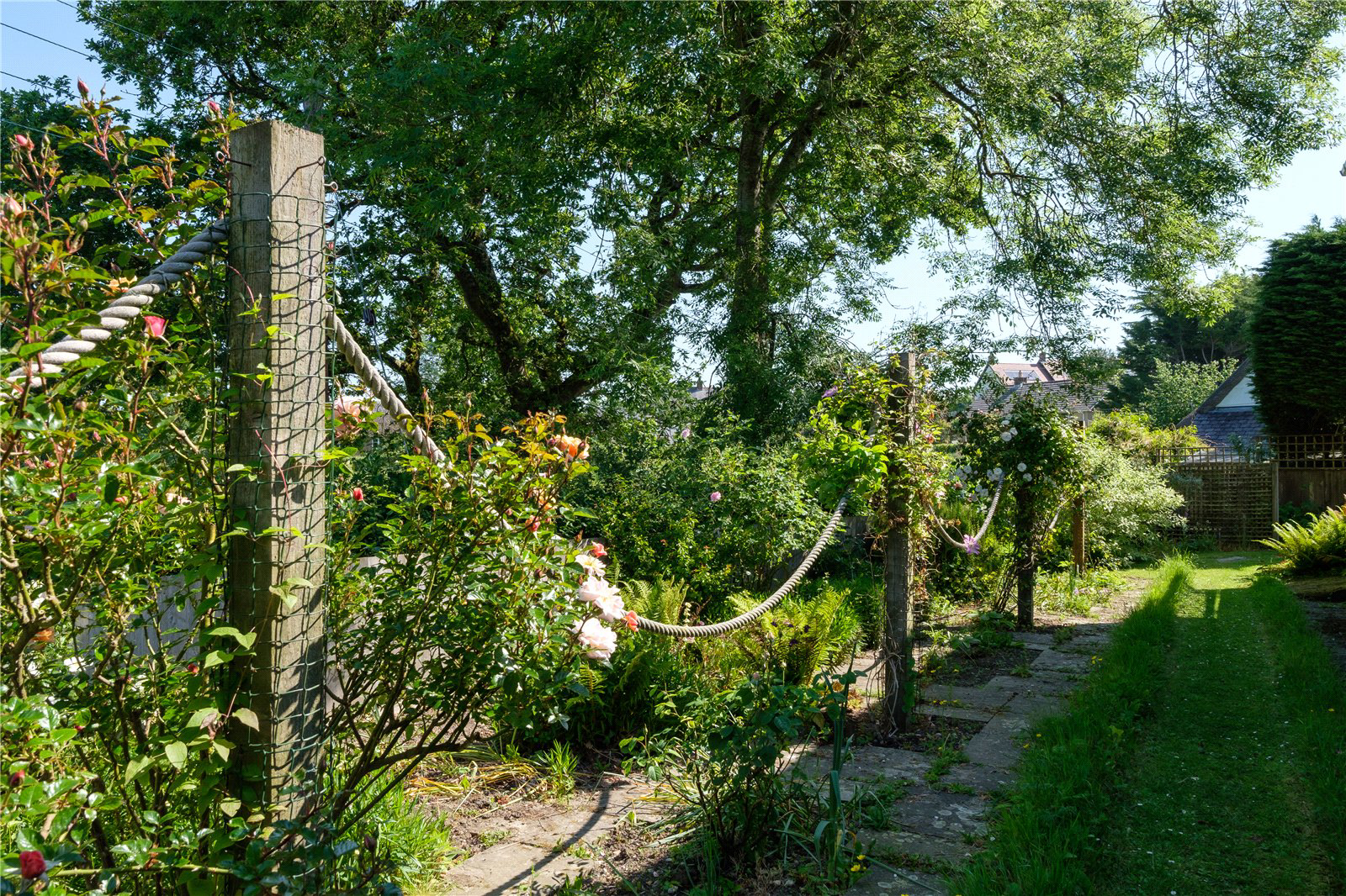 Whitchurch Canonicorum, Bridport, DT6, photo 44