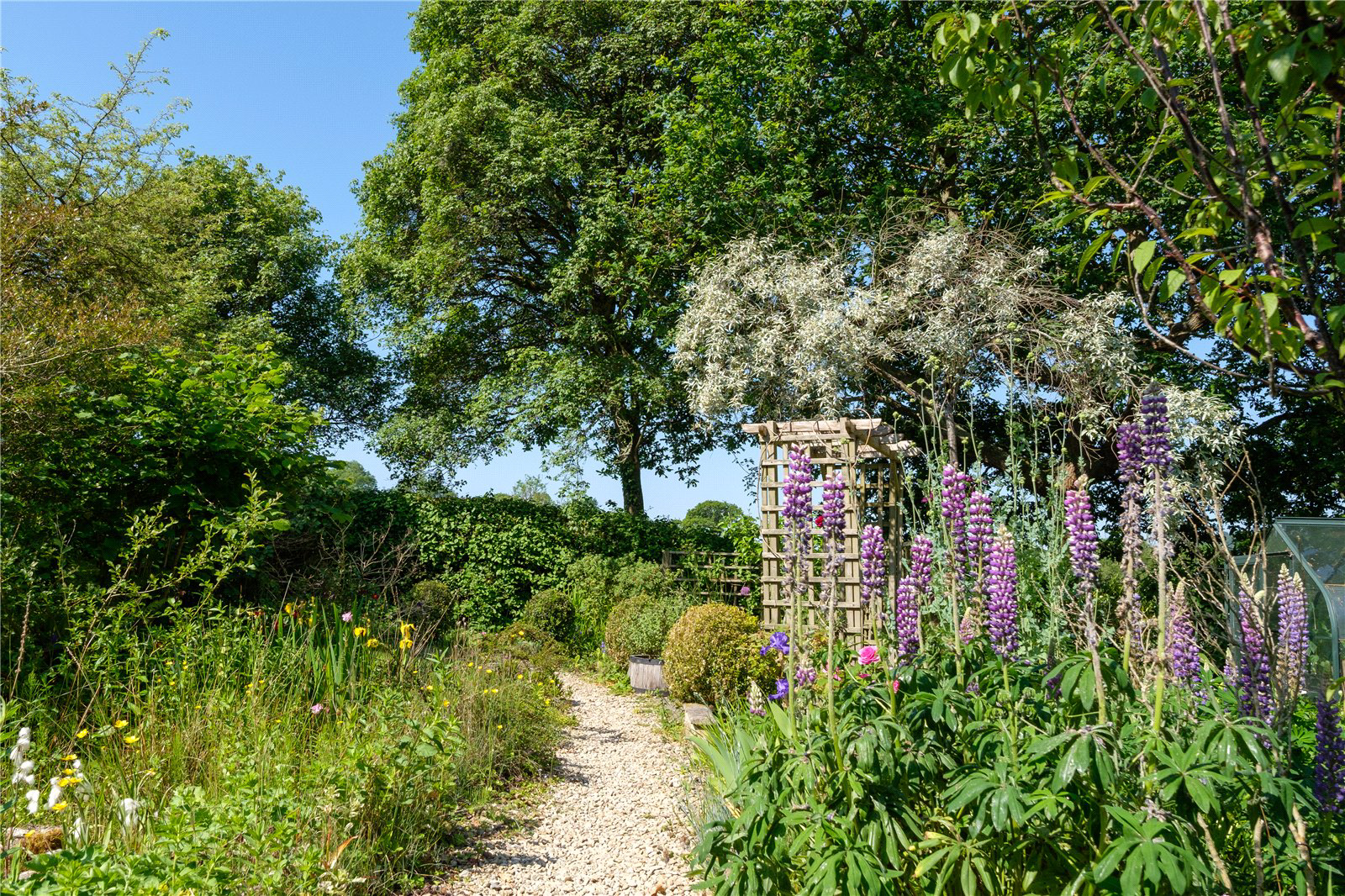 Whitchurch Canonicorum, Bridport, DT6, photo 42