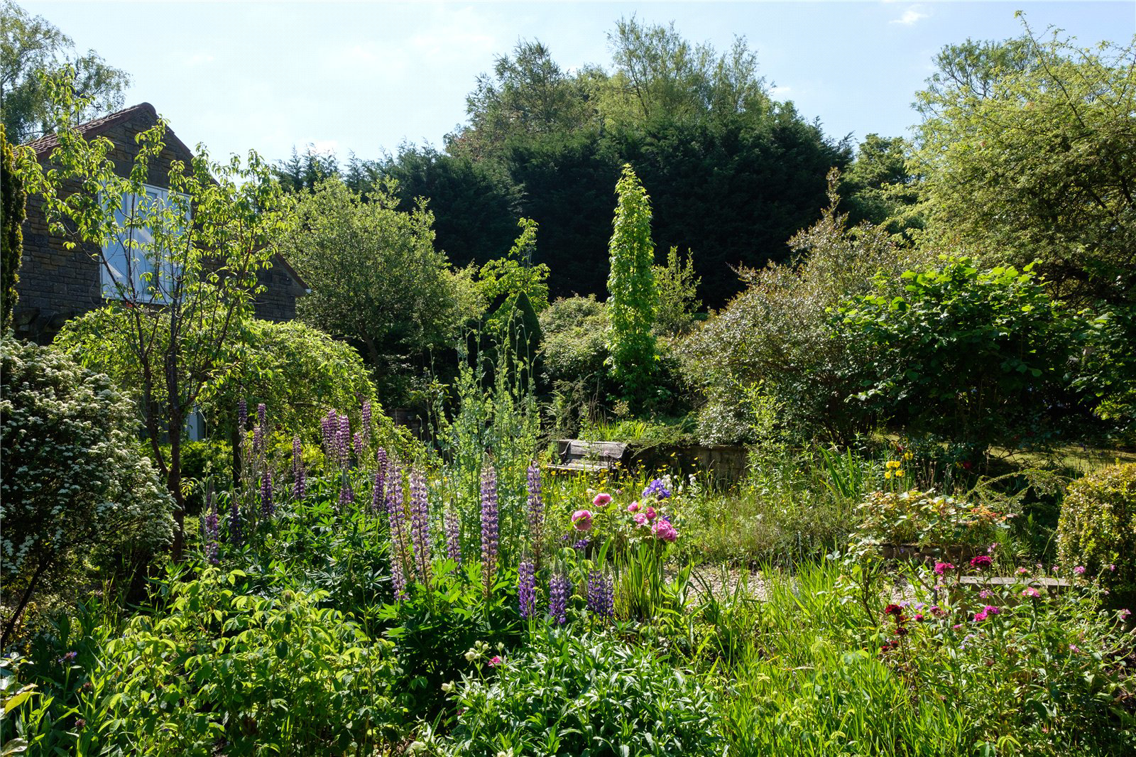 Whitchurch Canonicorum, Bridport, DT6, photo 37