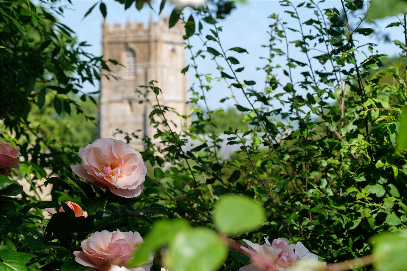 Whitchurch Canonicorum, Bridport, DT6, photo 15