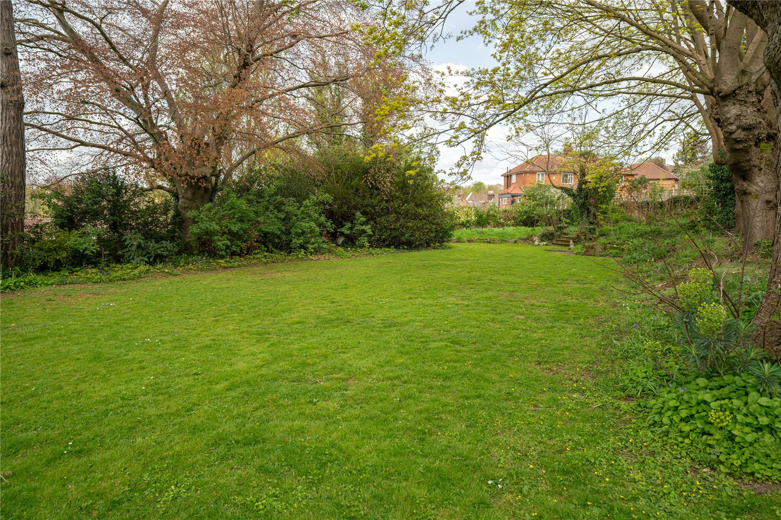 Ipswich, Suffolk, IP4, photo 18