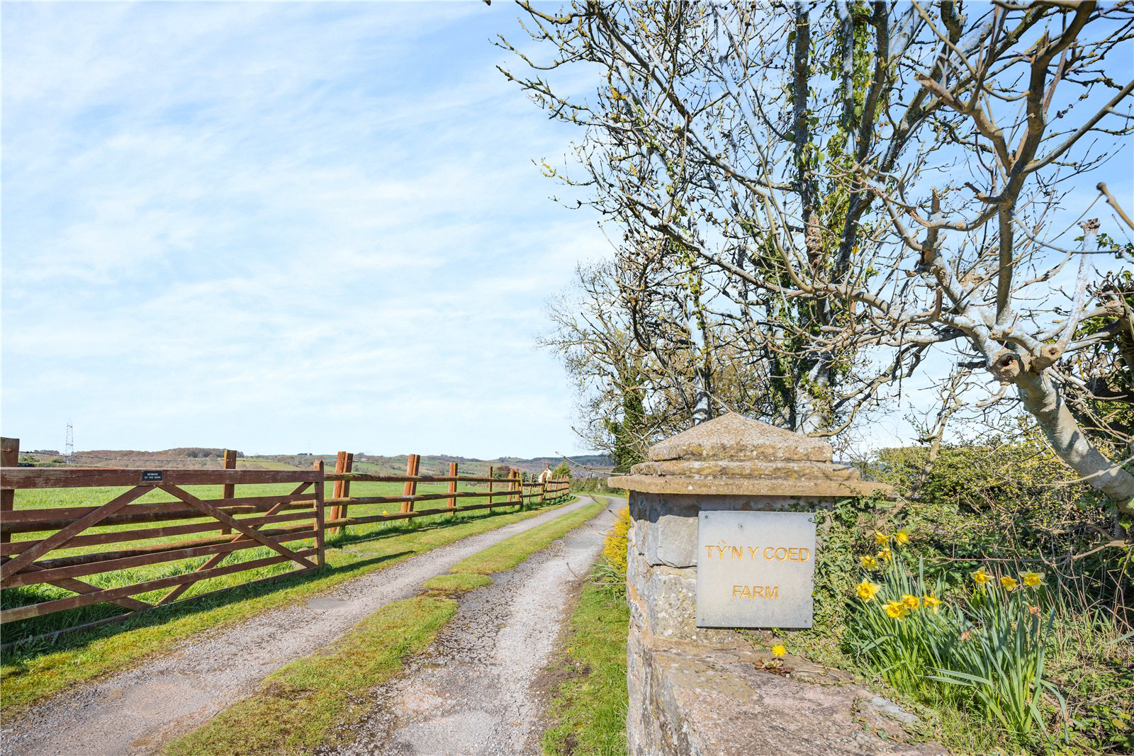 Treuddyn, Mold, Flintshire, CH7, photo 44