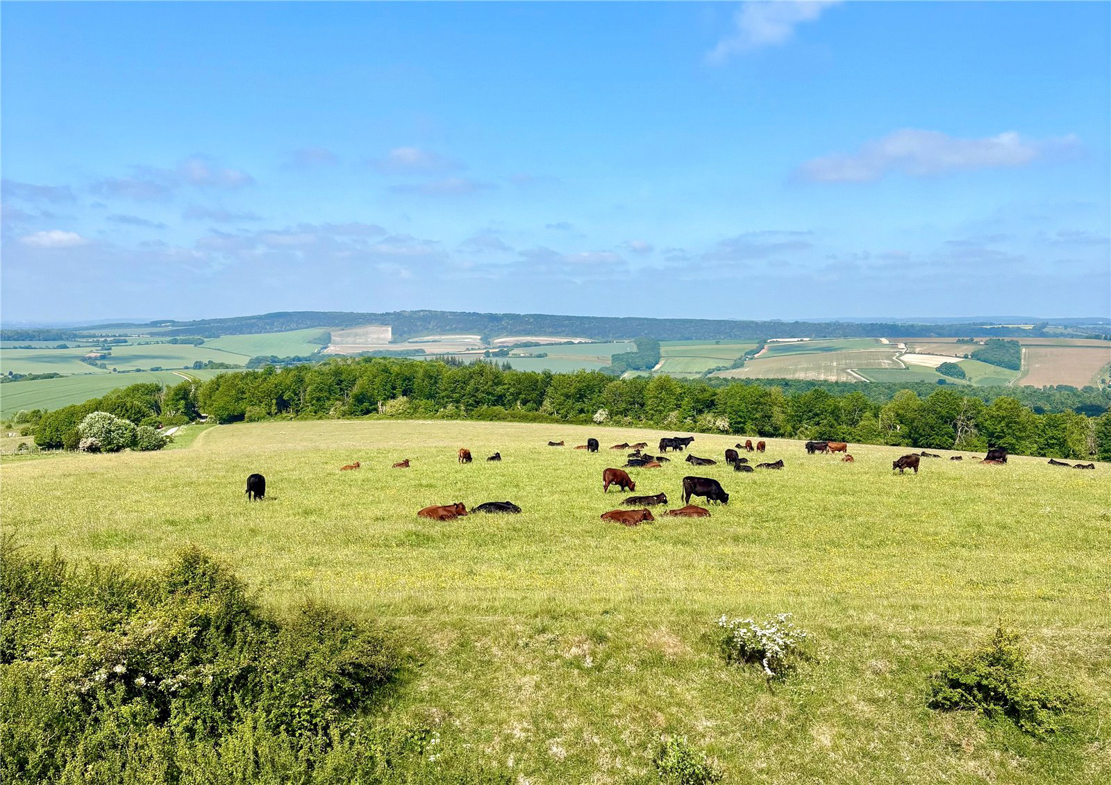 Chichester, Chichester, West Sussex, PO19, photo 5