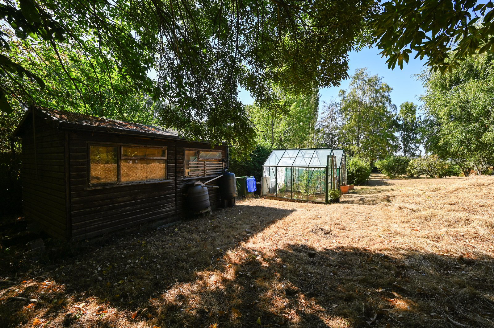 Cornwells Bank, Newick, BN8, photo 15