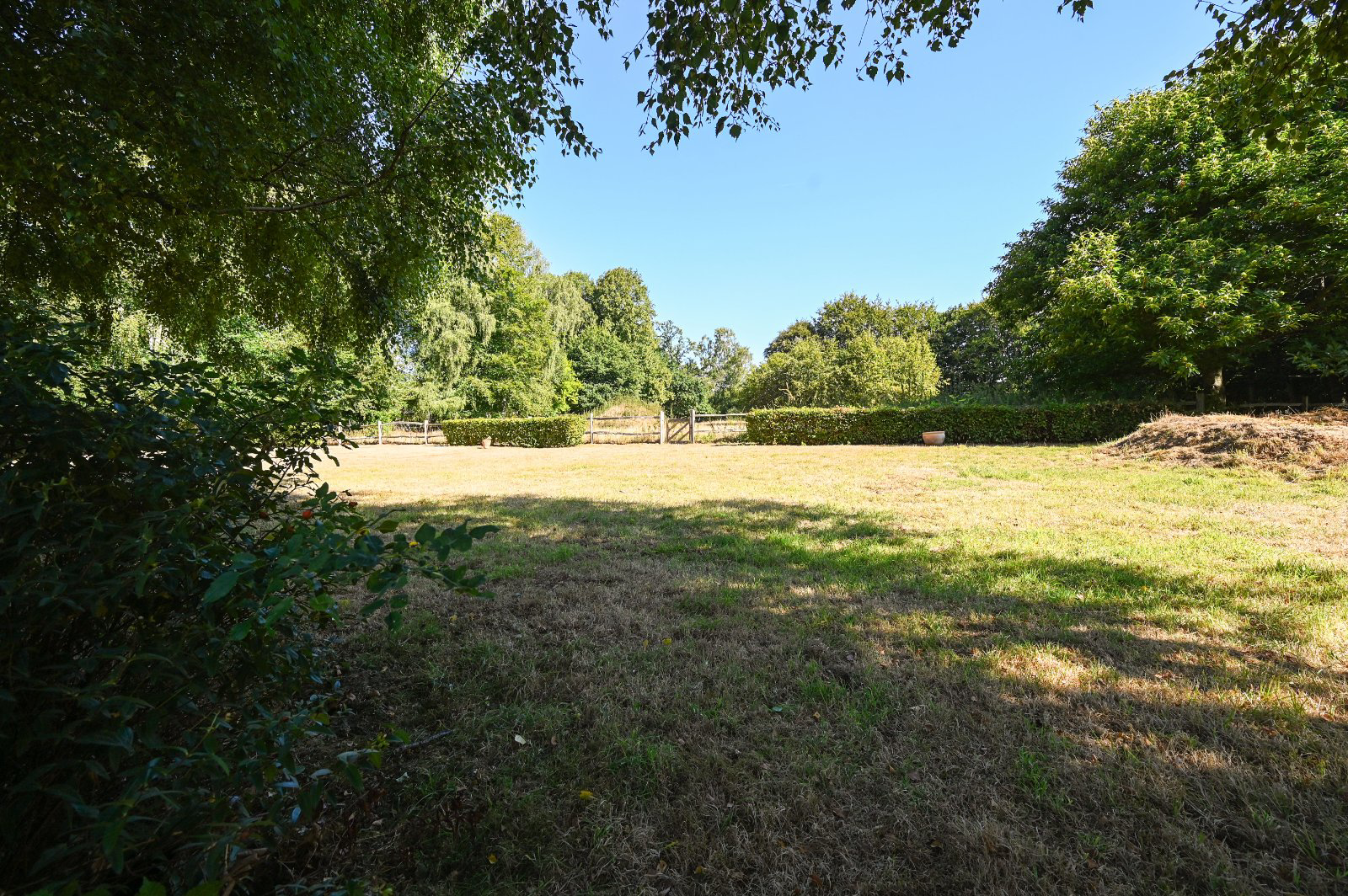 Cornwells Bank, Newick, BN8, photo 13