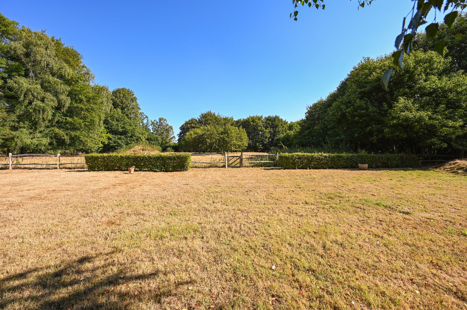 Cornwells Bank, Newick, BN8, photo 22