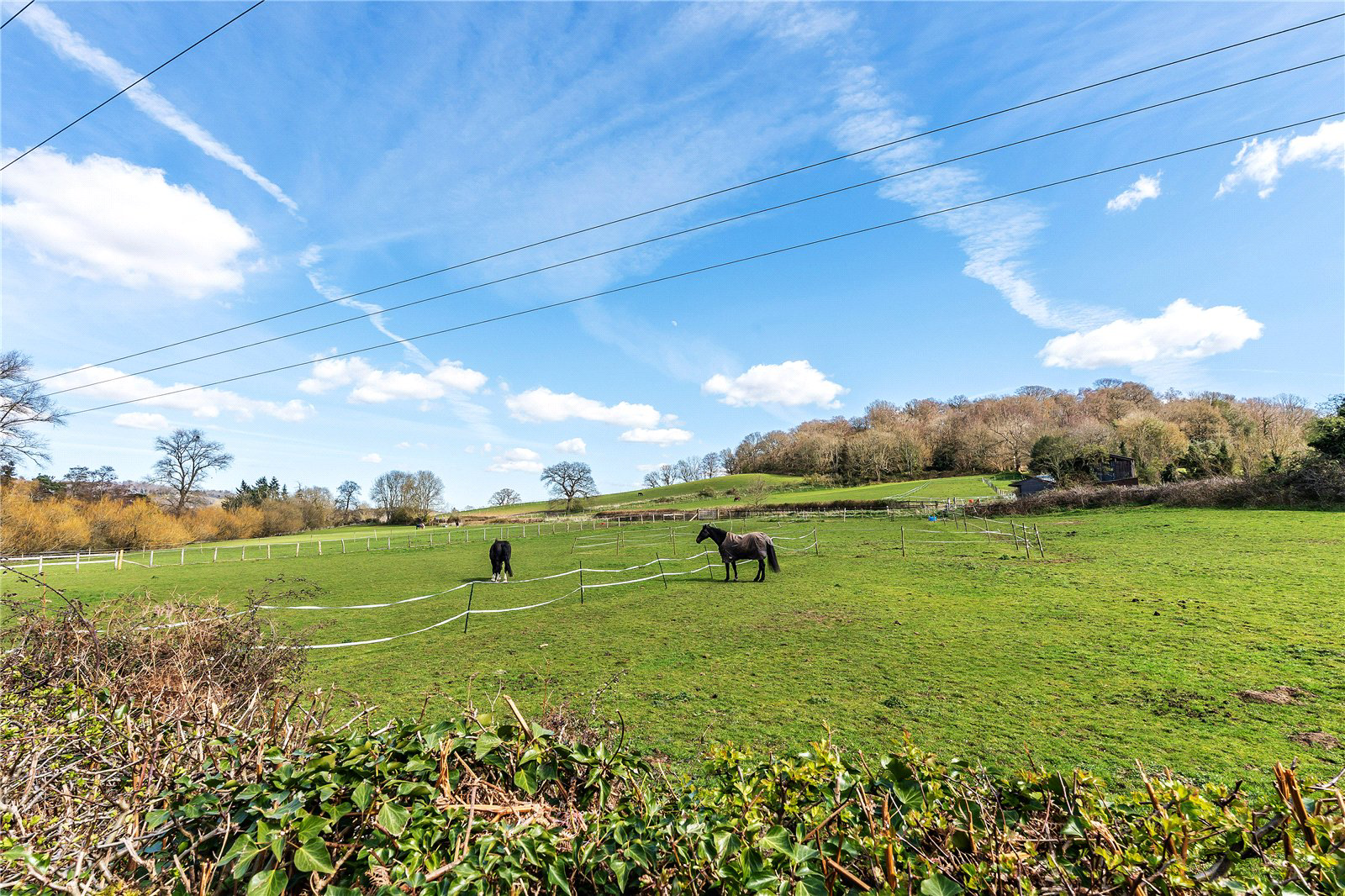 Littleton Lane, Reigate, Surrey, RH2, photo 4