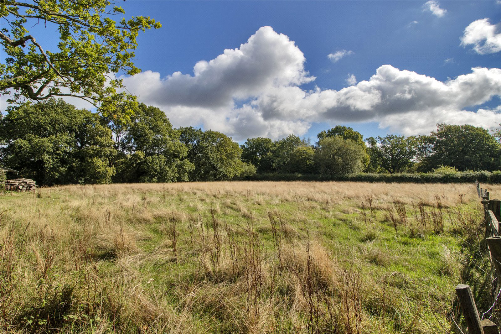Cranbrook Road, Benenden, Kent, TN17, photo 19
