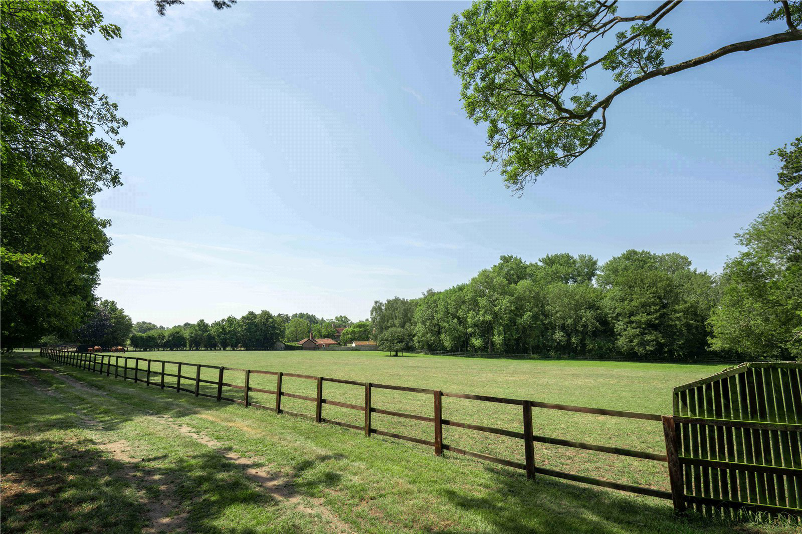 West Stow Stud, Icklingham Road, West Stow, Bury St Edmunds, IP28, photo 18