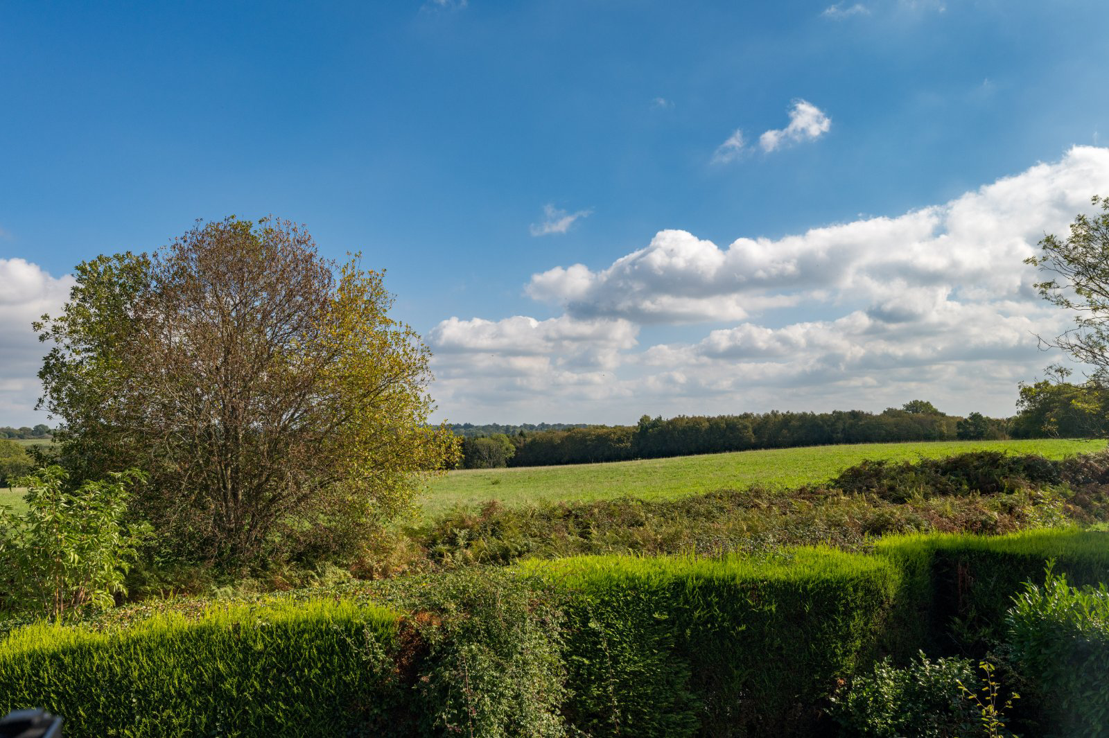 Plummerden Lane, Lindfield, Haywards Heath, West Sussex, RH16, photo 11