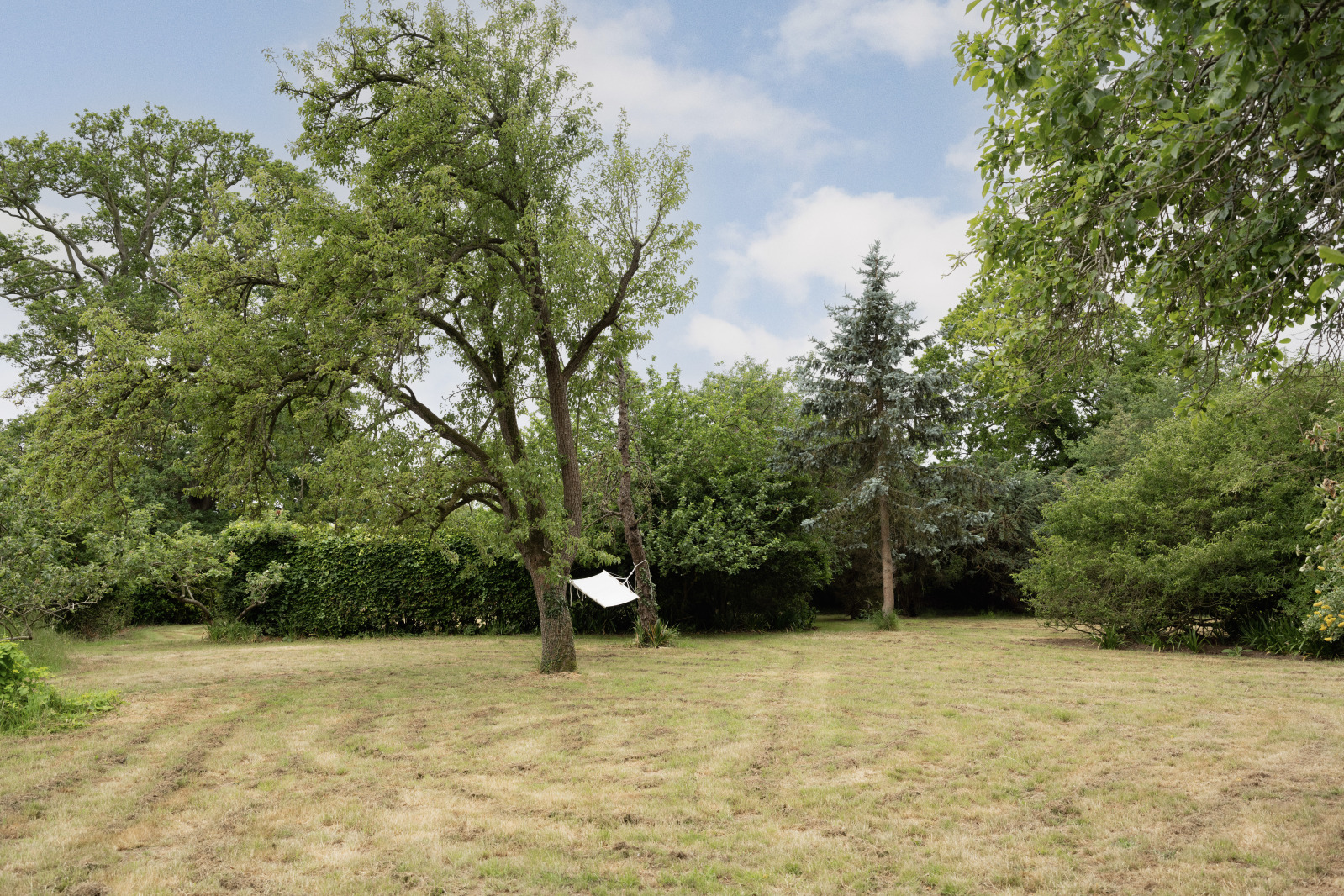 Spratts Green, Aylsham, Norwich, Norfolk, NR11, photo 26