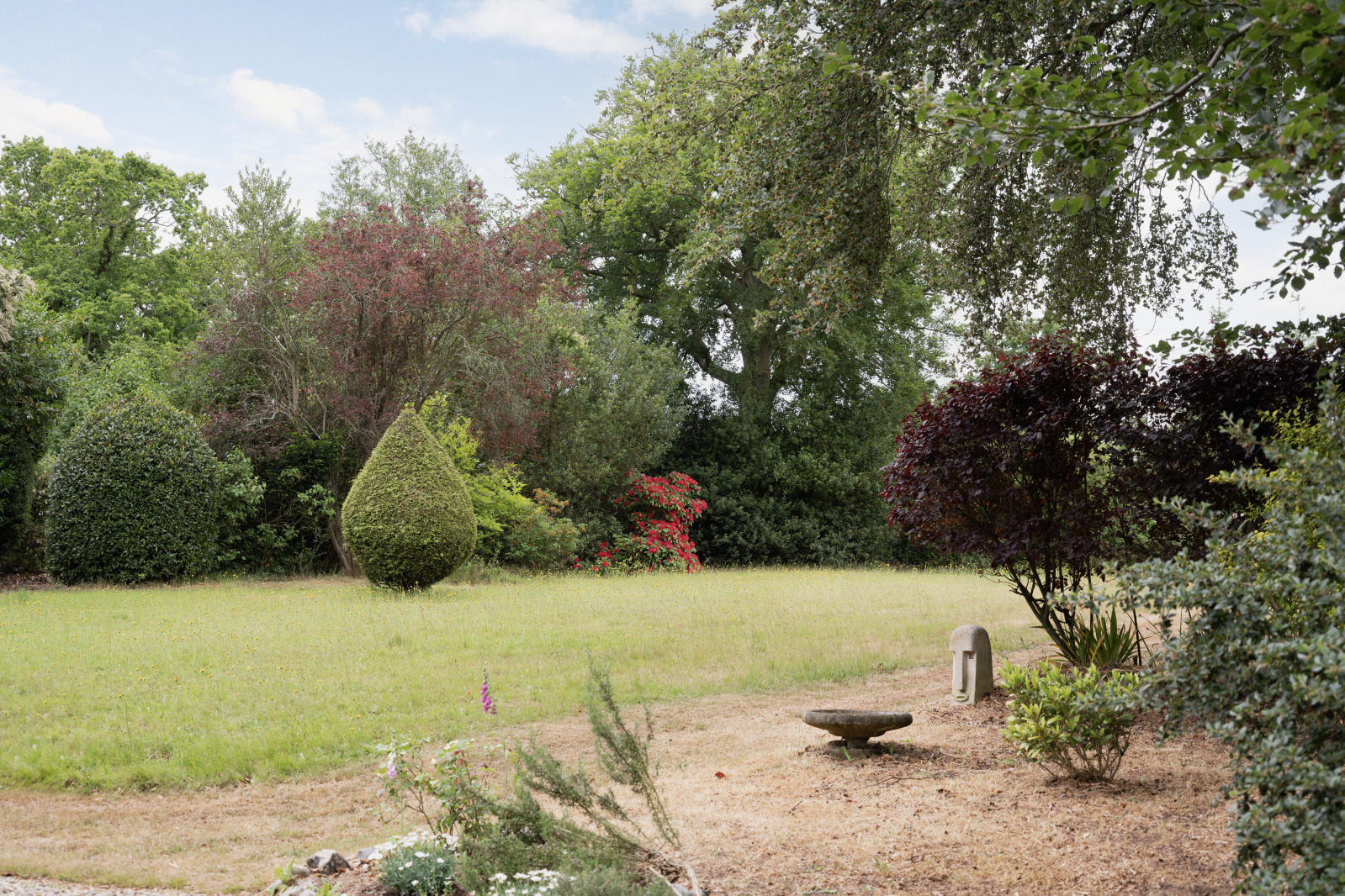 Spratts Green, Aylsham, Norwich, Norfolk, NR11, photo 28