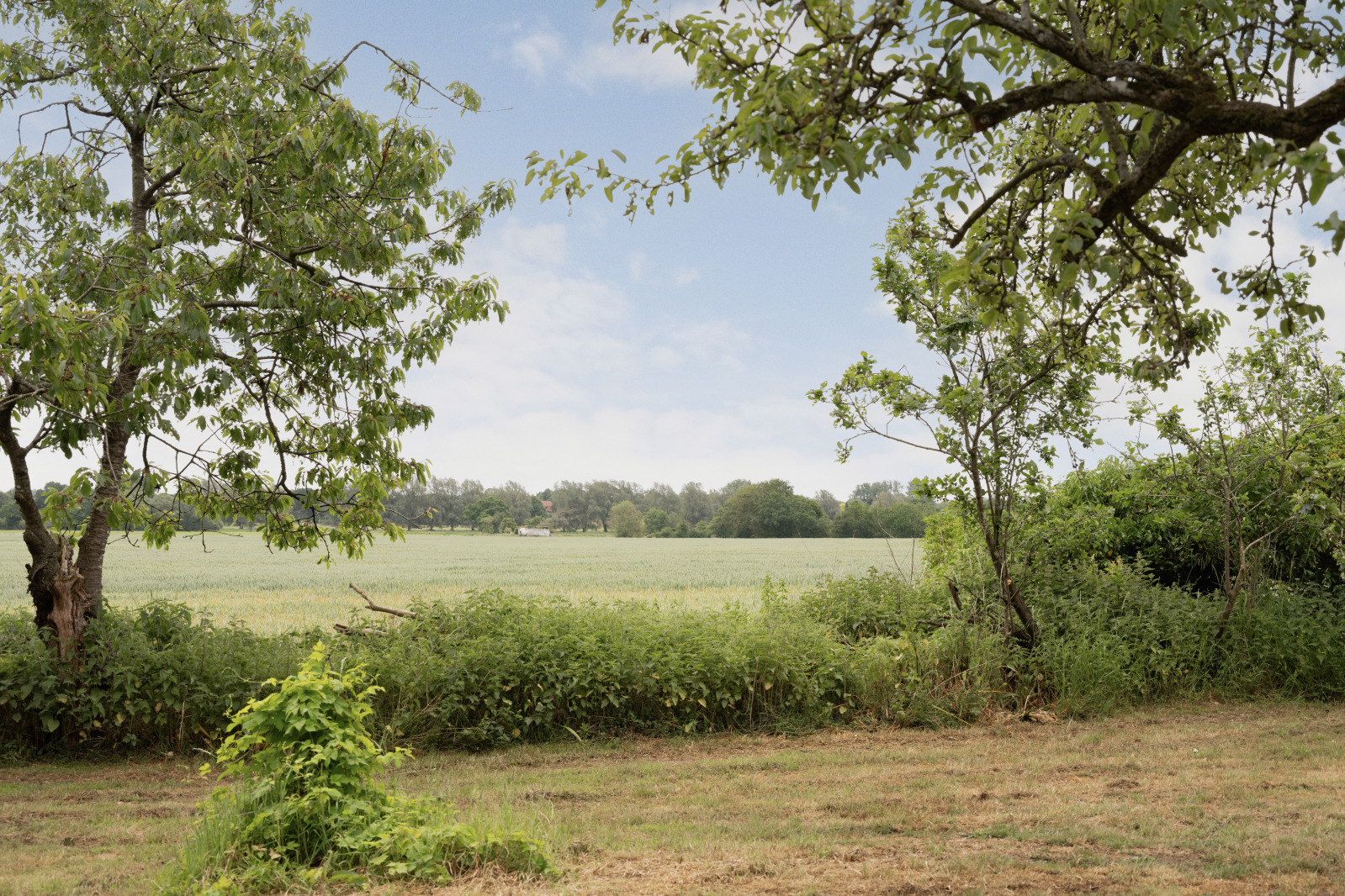 Spratts Green, Aylsham, Norwich, Norfolk, NR11, photo 27