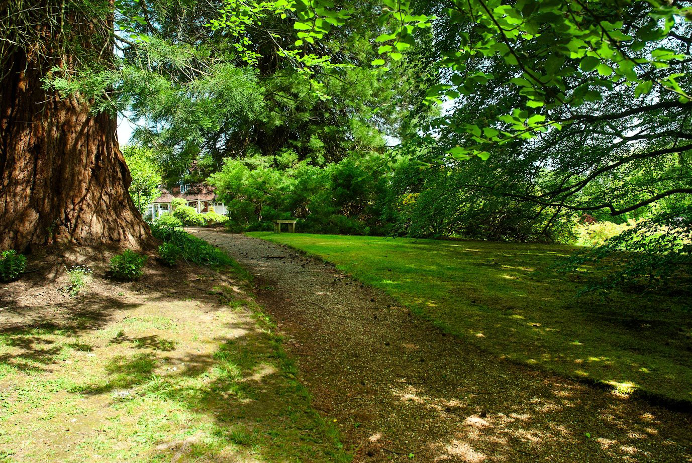 Trulls Hatch, Argos Hill, Rotherfield, East Sussex, TN6, photo 3