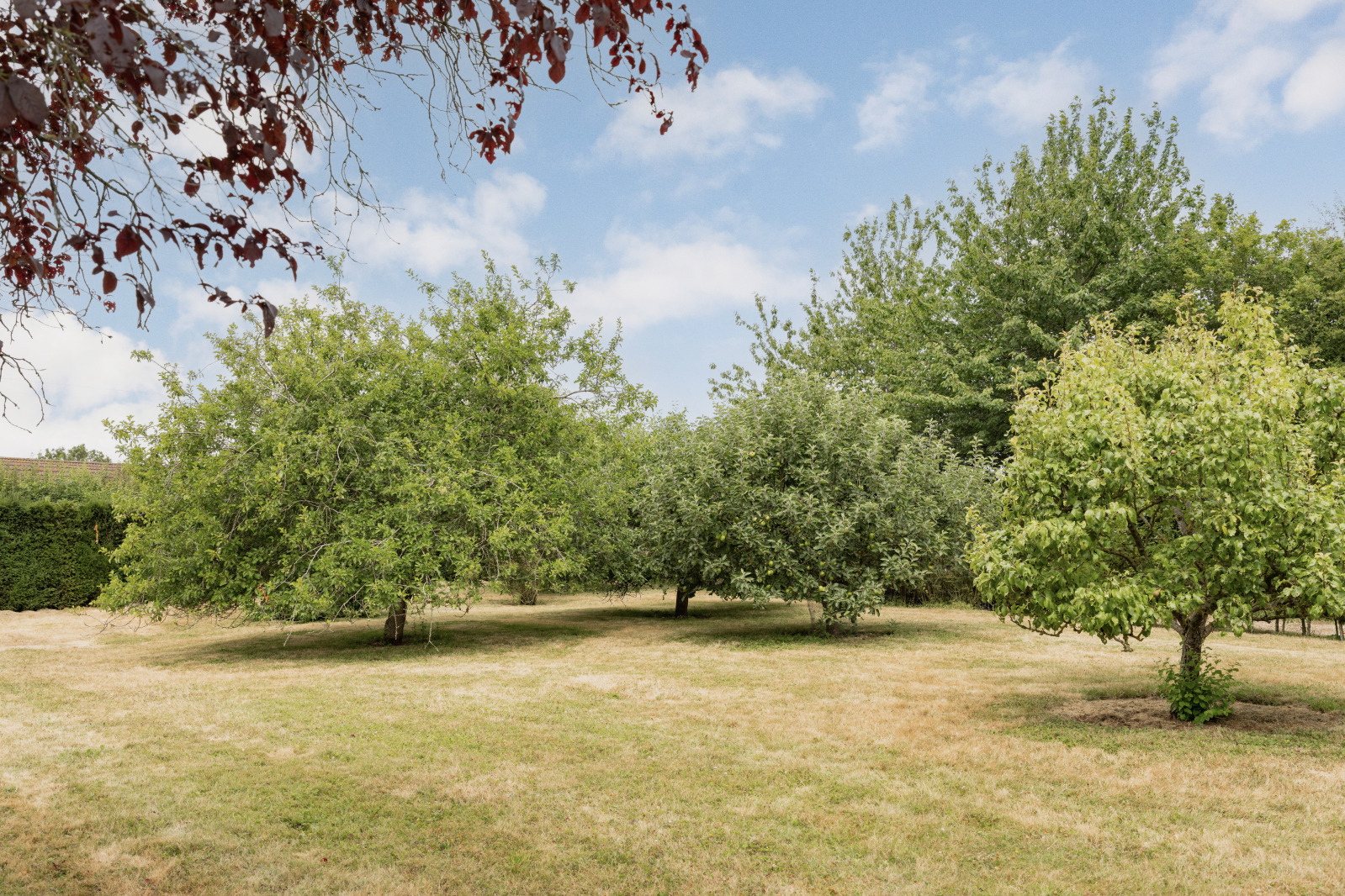 Norwich Road, Woodton, Bungay, Norfolk, NR35, photo 26