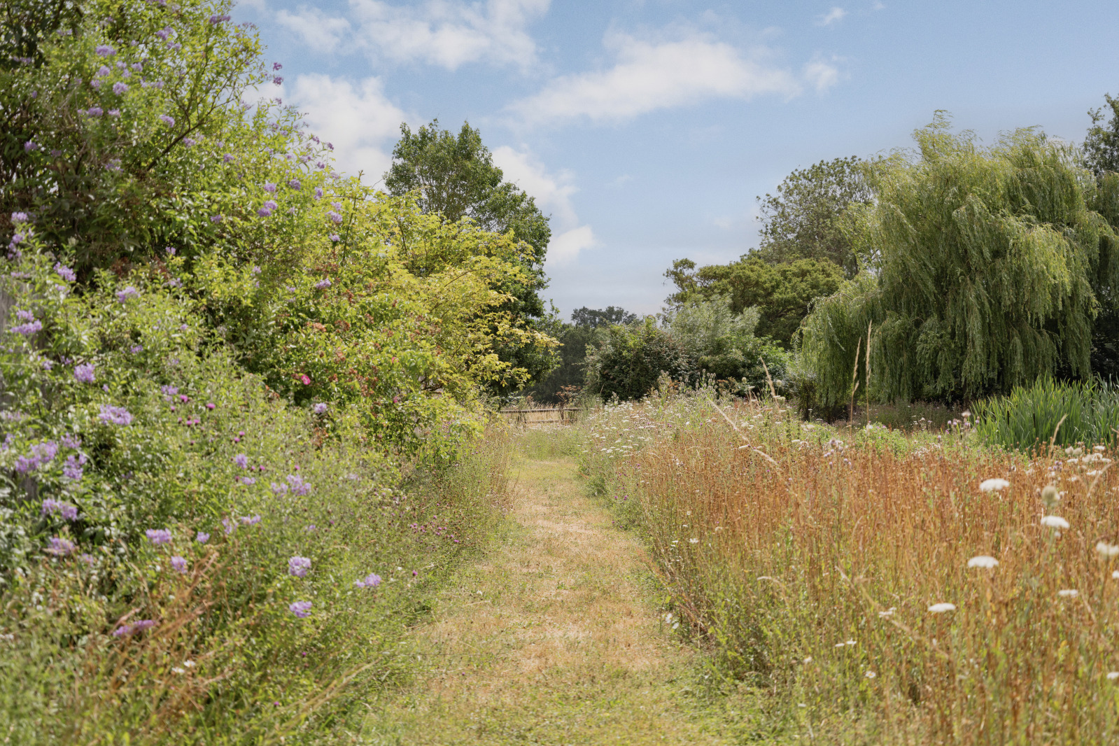 Norwich Road, Woodton, Bungay, Norfolk, NR35, photo 34