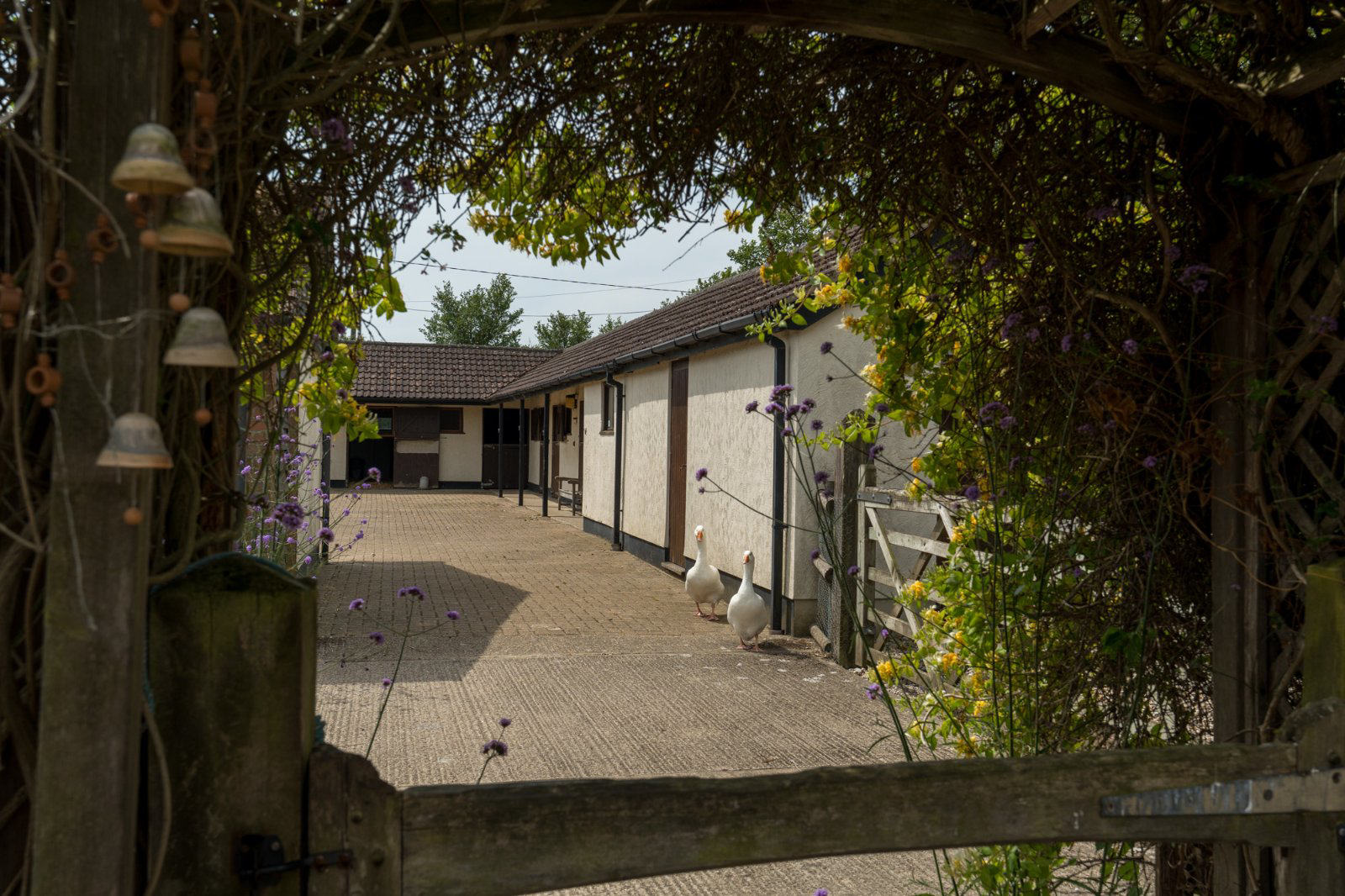 East Mersea Road, West Mersea, Colchester, Essex, CO5, photo 32