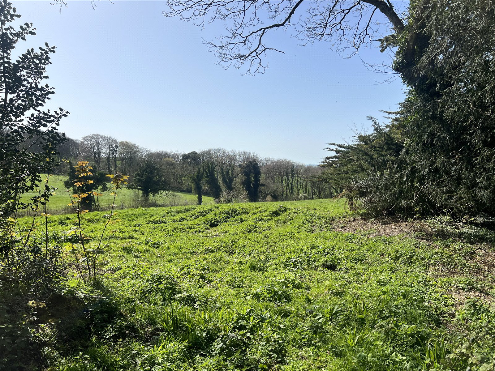 Woodtown, Bideford, Devon, EX39, photo 12