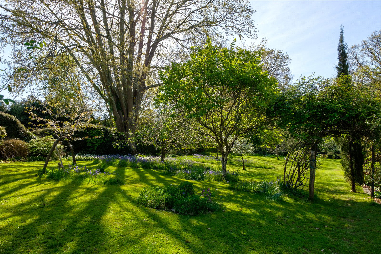 Pound Lane, Uplyme, Lyme Regis, Devon, DT7, photo 42